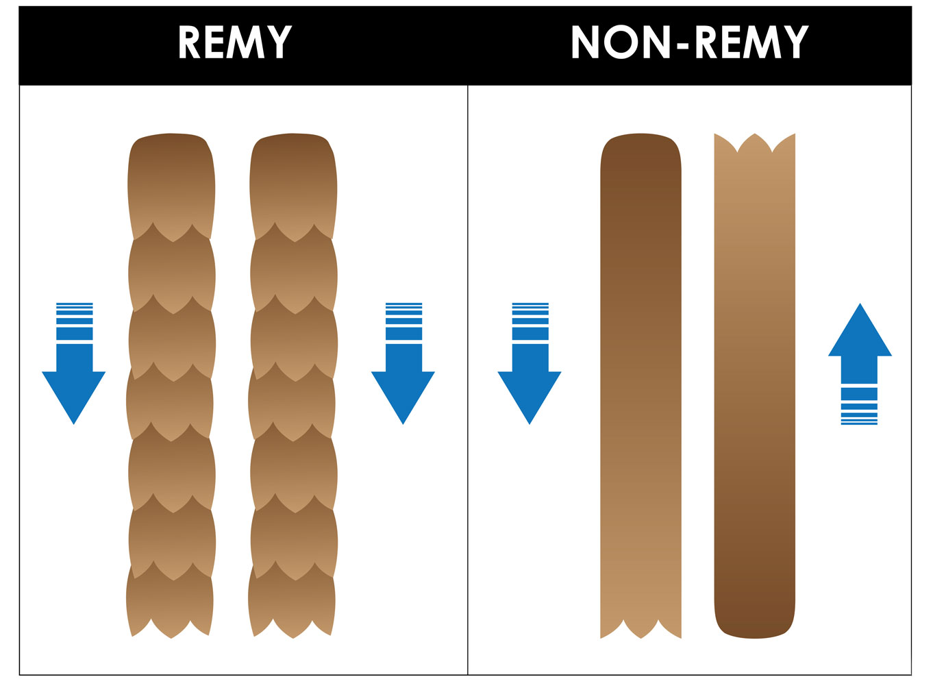 REMY VS NON-REMY hair - Jon Renau Collection